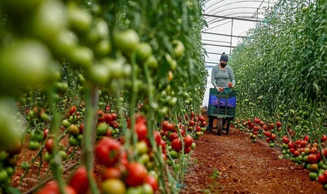 Tarıma 2026’da 1 trilyon lira destek