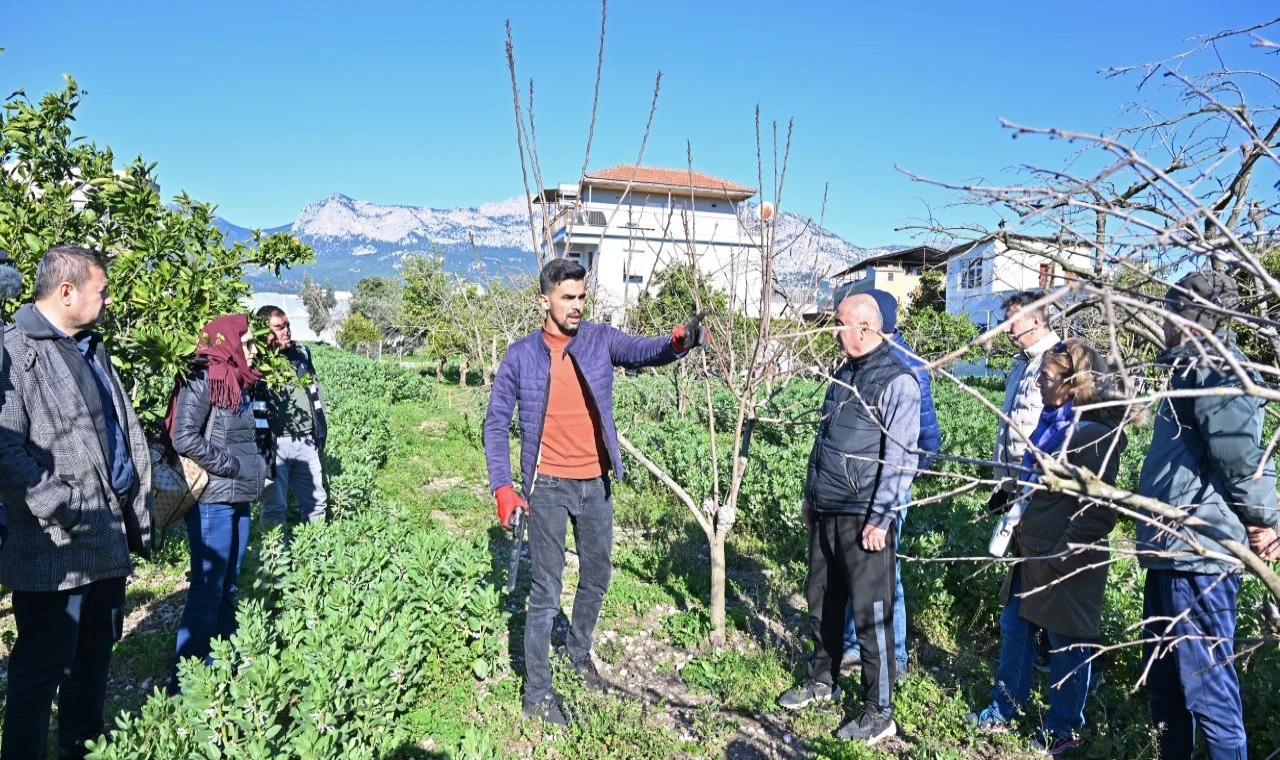 ATASEM’de uygulamalı ağaç budama eğitimi