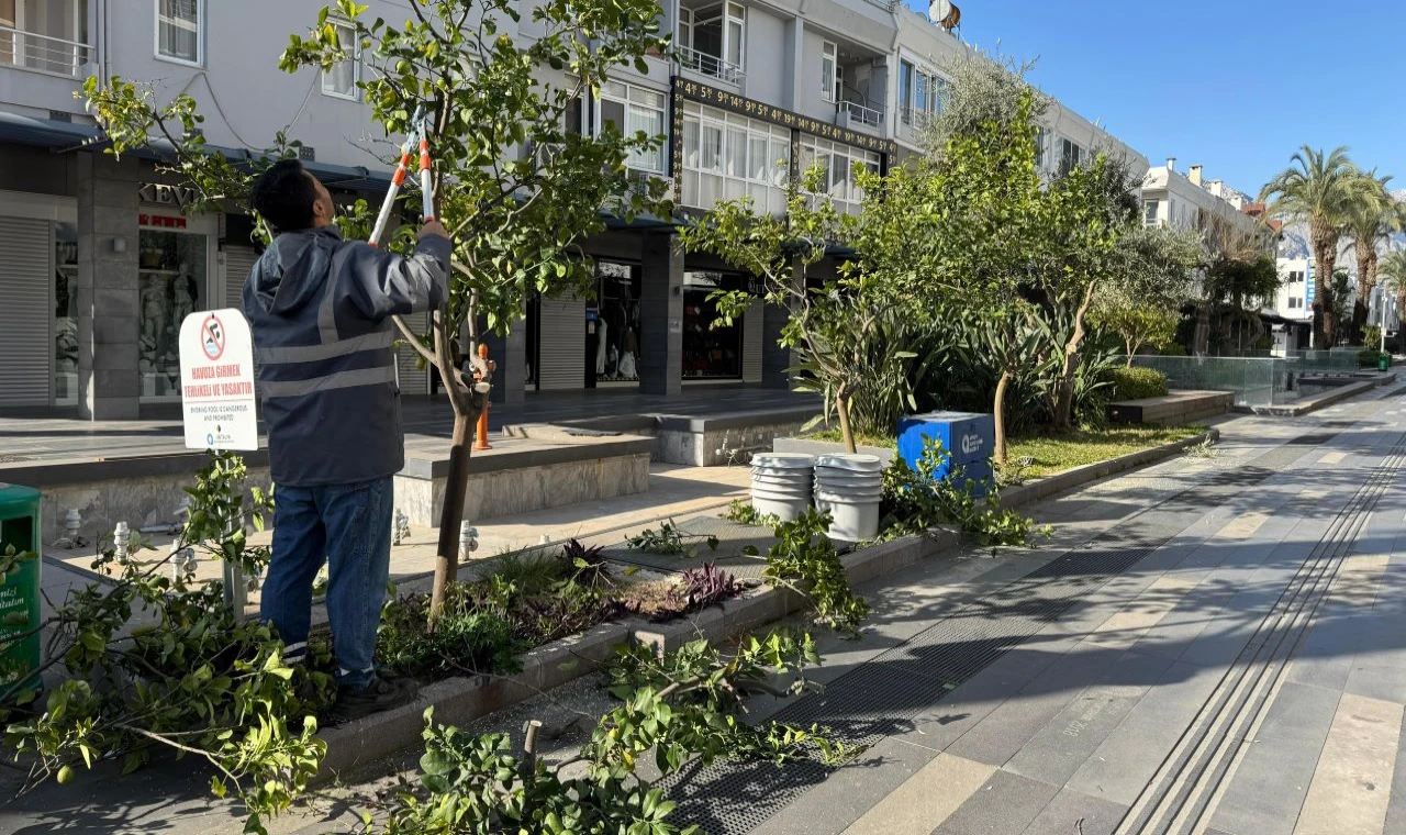 Bahar temizliği ve peyzaj çalışması