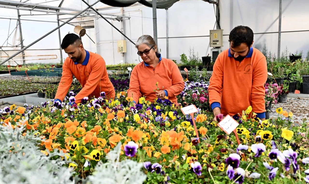 Bitki Üretim Tesisi parkları güzelleştirdi