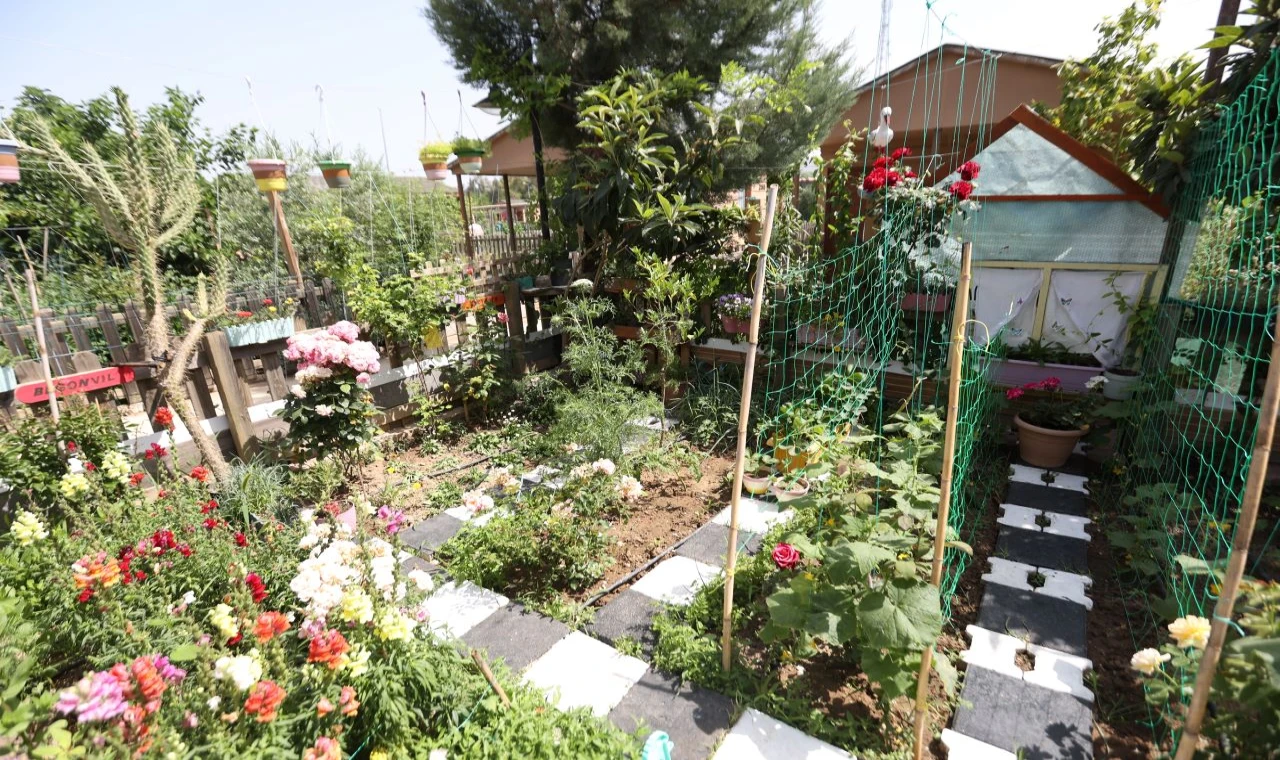 Ödüllü yarışma başlıyor