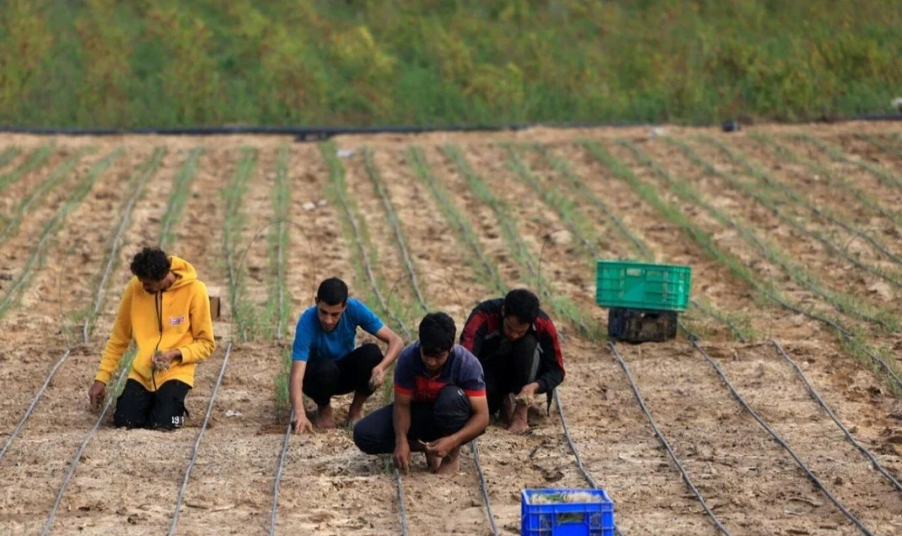 Tarım işçileri için planlama çağrısı