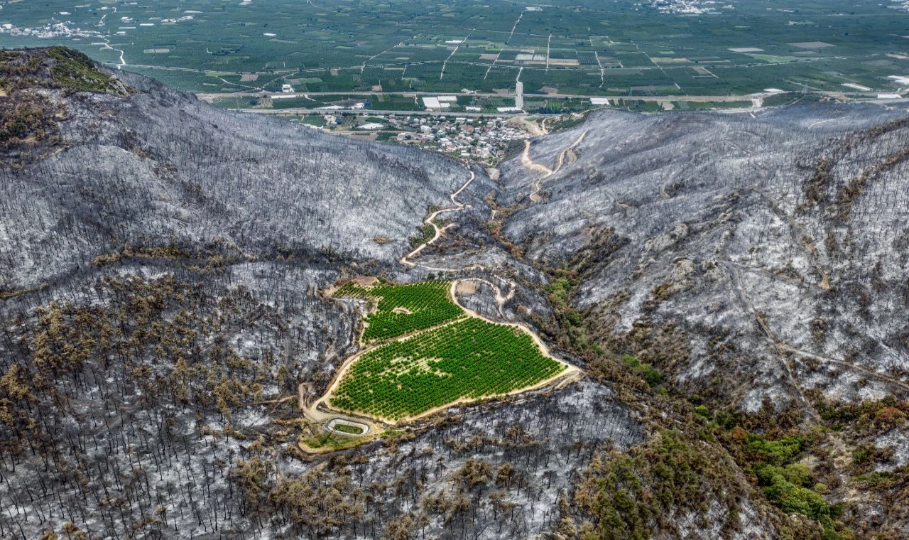 TFMD Yılın Basın Fotoğrafları Yarışması sonuçlandı