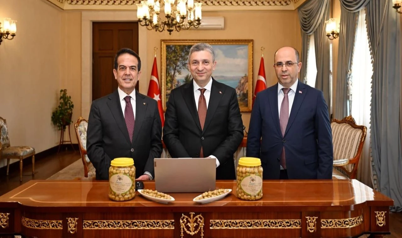 Tavşan Yüreği Zeytini AB yolunda