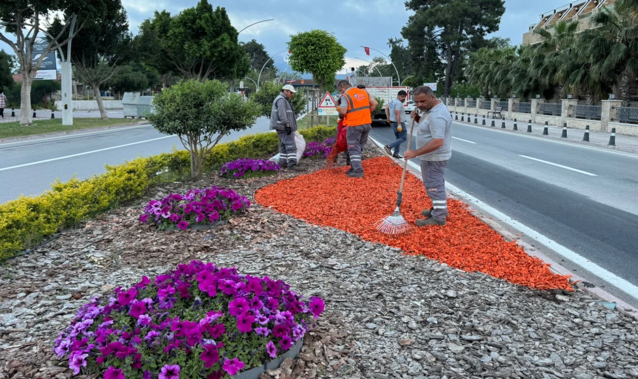 Kemer’de peyzaj çalışması