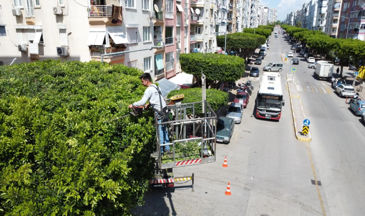 Kent estetiği için yoğun mesai