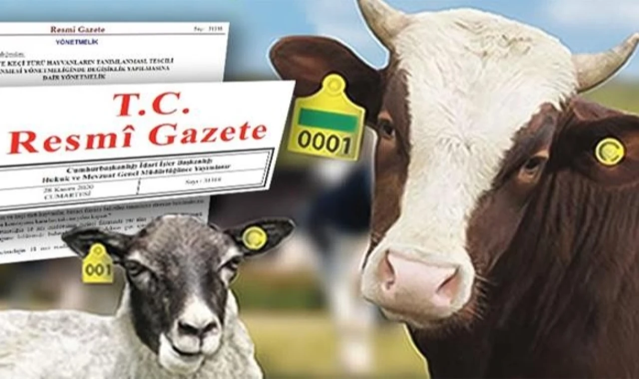 Karekod geliyor, il kodlu küpelerin süresi uzatıldı