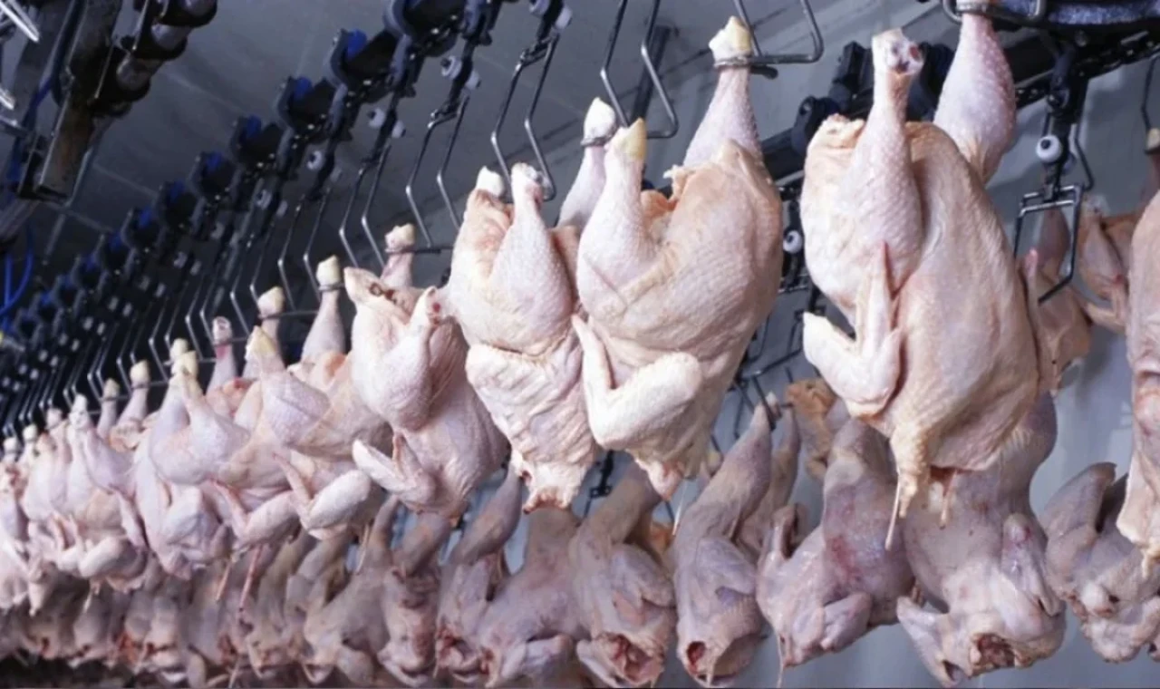 Kayyum kararları kaldırıldı
