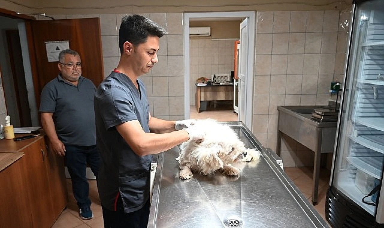 Kemer Belediyesi “Can dostlarına” sahip çıkıyor
