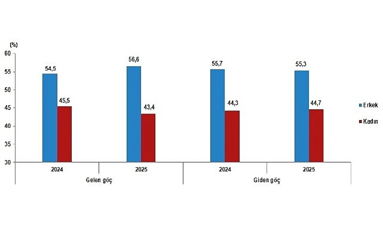 Yurt dışından Türkiye’ye 393 bin 829 kişi göç etti