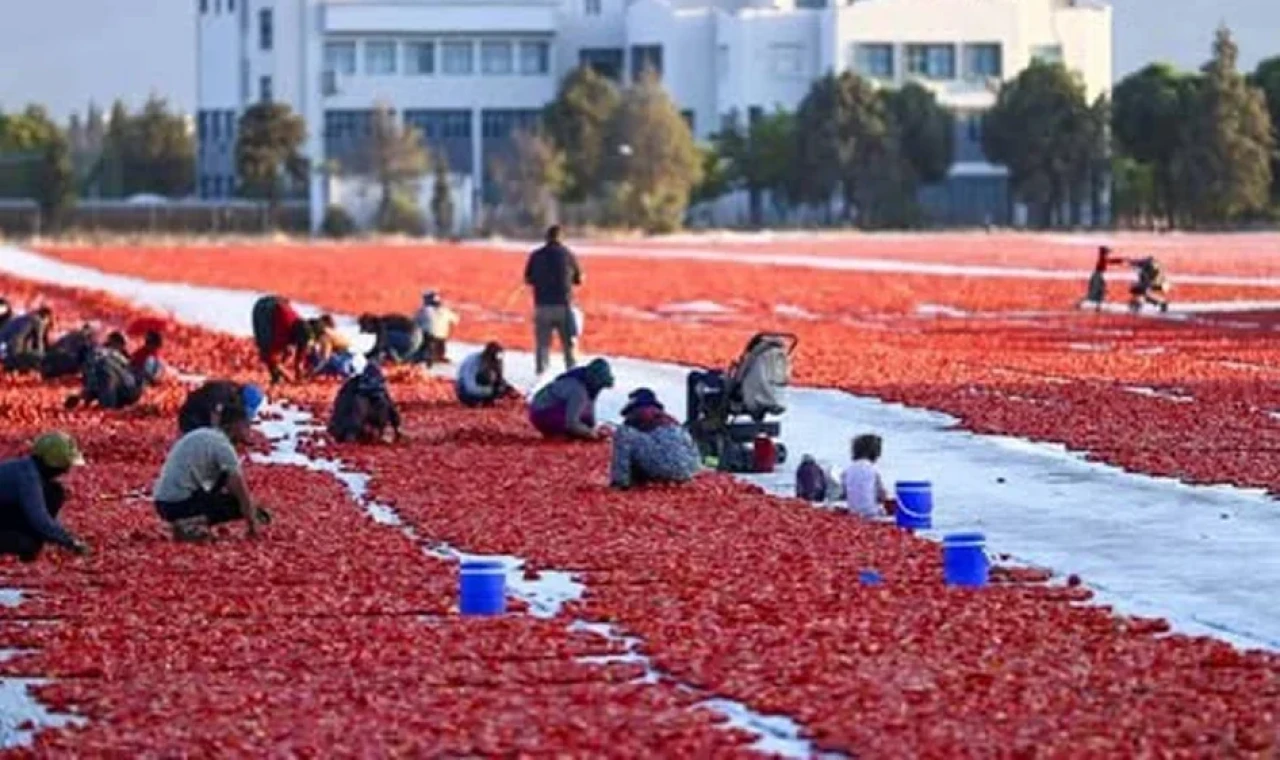 Antalya’dan 91 ülkeye ulaştı