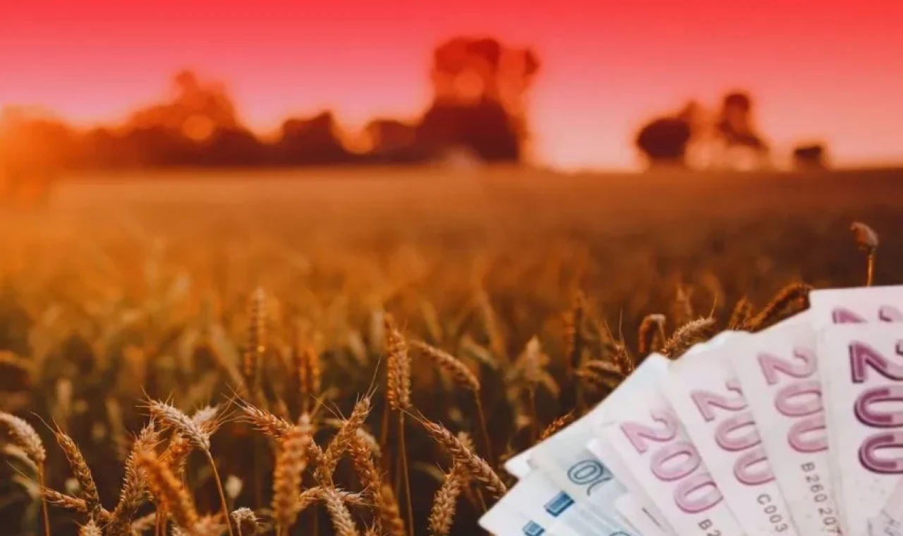 TMO’dan üreticiye 4,5 milyar TL’lik ödeme