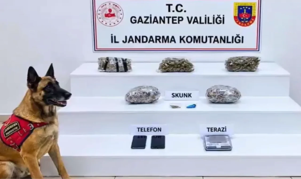 Antalya ve 31 ilde yüzlerce kilo uyuşturucu ele geçirildi