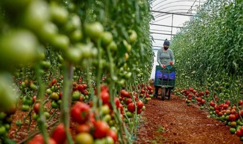 Tarıma 2026’da 1 trilyon lira destek