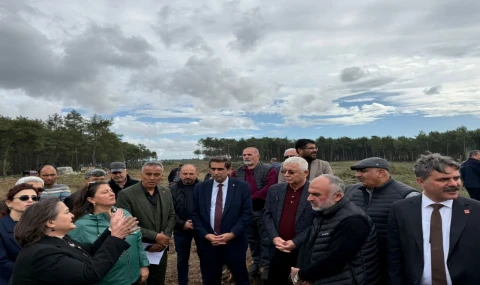 CHP'den Kurşunlu'da ağaç kesimlerine tepki