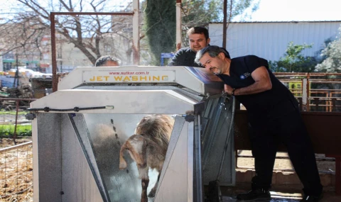 Büyükşehirden üreticilere ücretsiz parazit uygulaması
