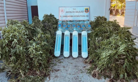 Jandarmadan Aksu’da uyuşturucu operasyonu