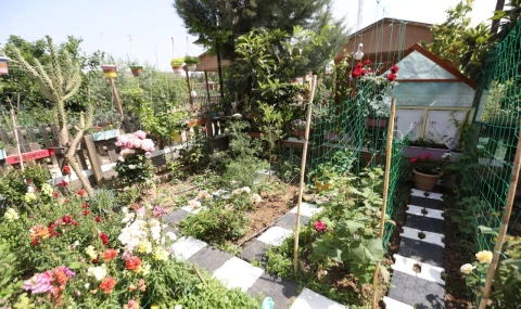 Ödüllü yarışma başlıyor