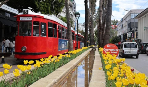 Rengarenk lalelerle görsel şölen