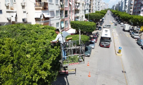 Kent estetiği için yoğun mesai