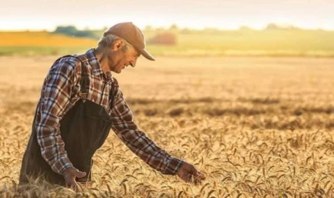 Tarım ürünlerinde fiyat artışı sürüyor