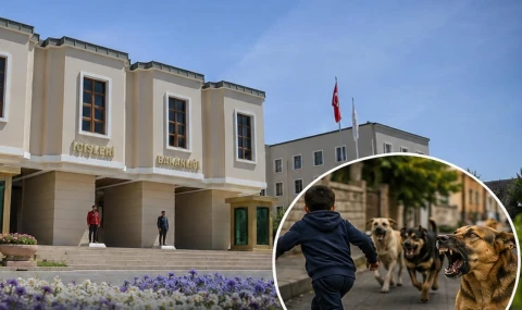 Muğla ve Erzurum’a soruşturma, Şanlıurfa’ya ön inceleme