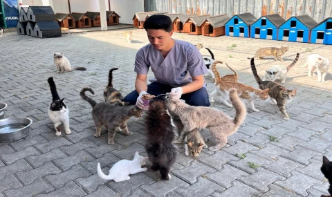 Kemer Belediyesi “Can dostlarına” sahip çıkıyor
