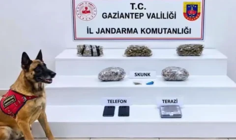 Antalya ve 31 ilde yüzlerce kilo uyuşturucu ele geçirildi